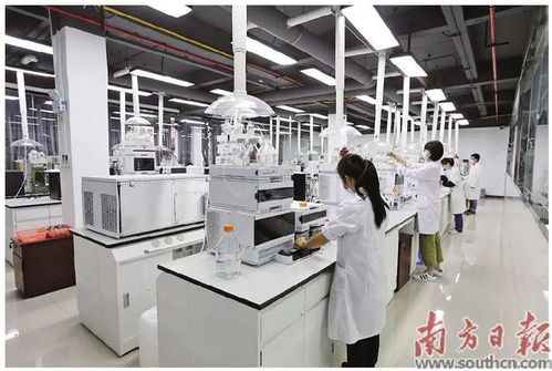 蓬江 以科技創(chuàng)新為引擎，新材料研發(fā)驅動產業(yè)升級