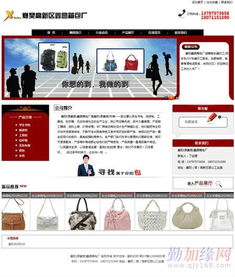 網站建設的全面指南 從規劃到上線
